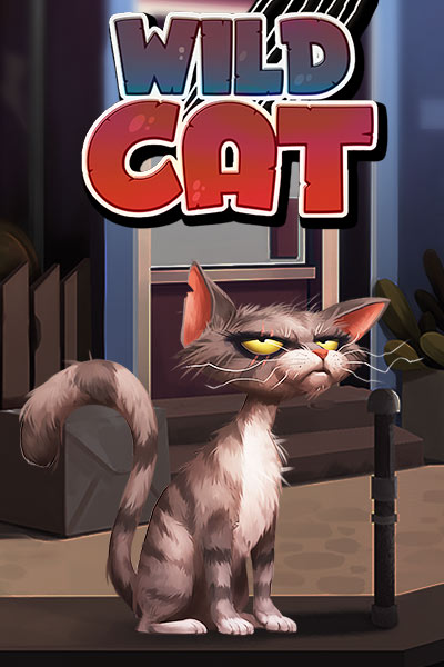 Wild Cat