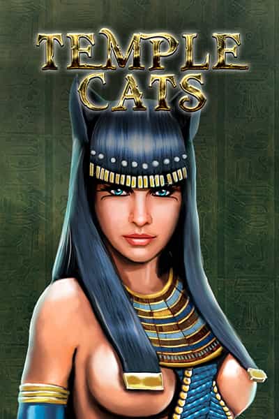 Temple Cats